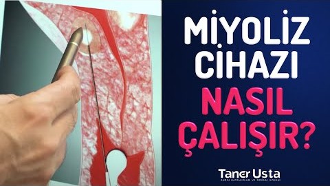 Prof. Dr. Taner Usta danışır
