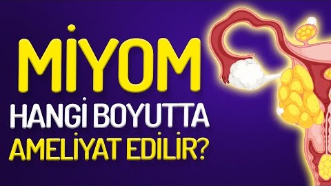 Prof. Dr. Taner Usta anlatıyor