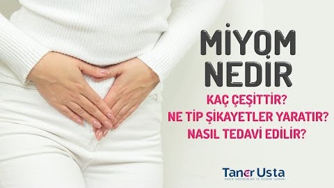 Prof. Dr. Taner Usta danışır